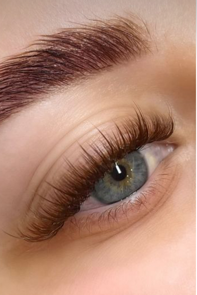 🤎BROWN LASH SET [Full Set]