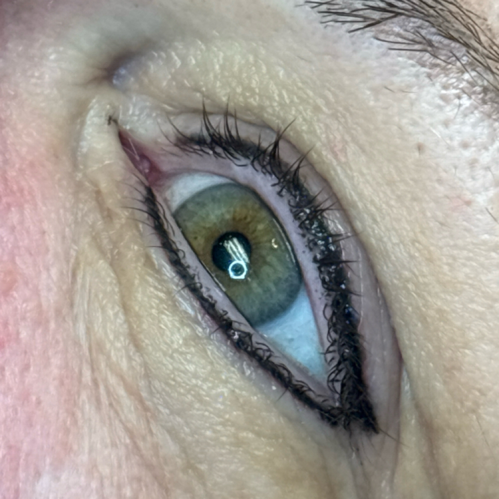 Permanent Makeup-Eyeliner Basic at Holistic Skin Center in Edgewater, FL