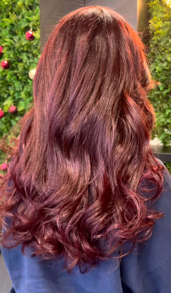 Color + Haircut at Zcbeautyy in Canton, MI