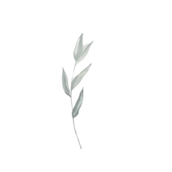 Brow Tint