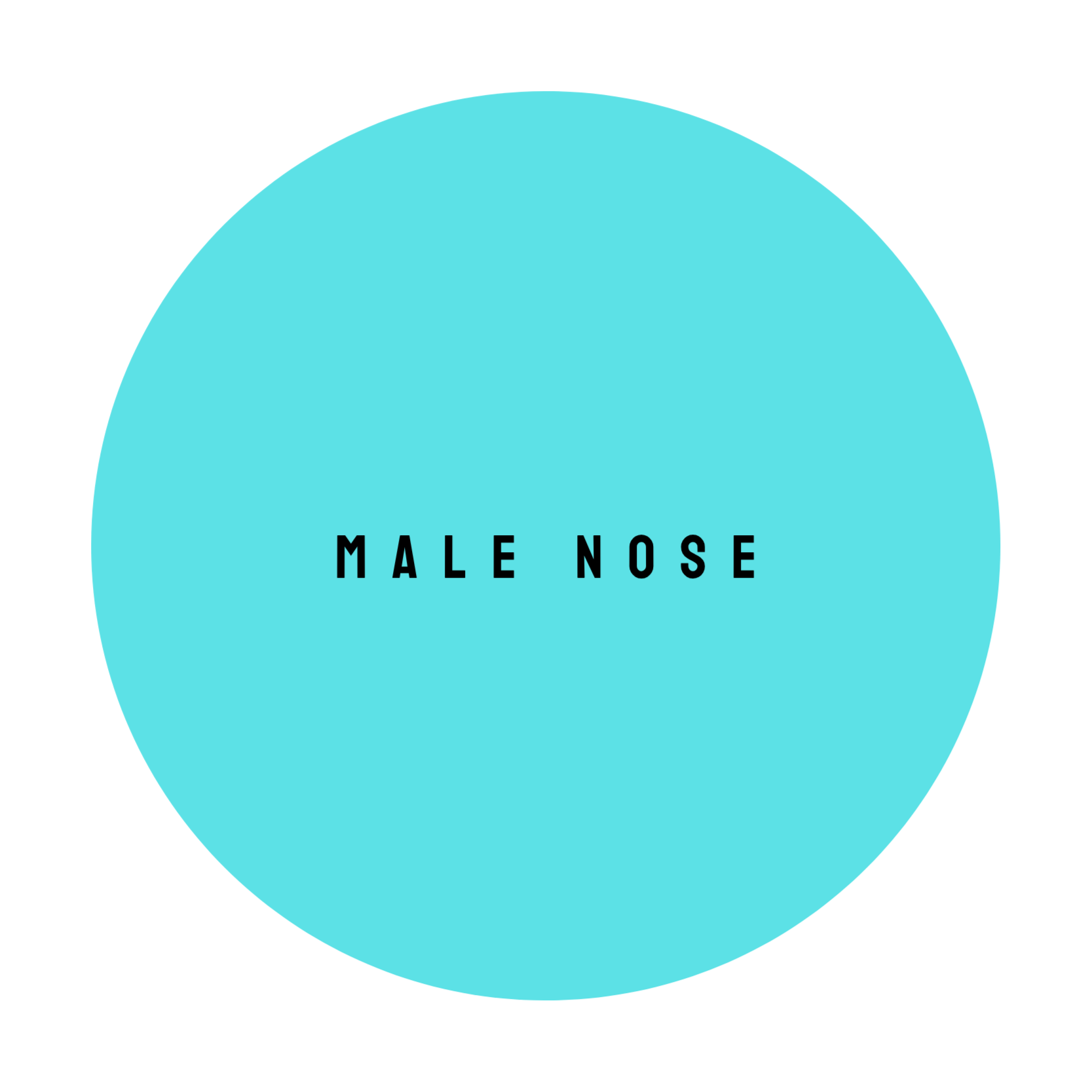 MALE NOSE at The Dollhouse Wax Studio in Smyrna, TN