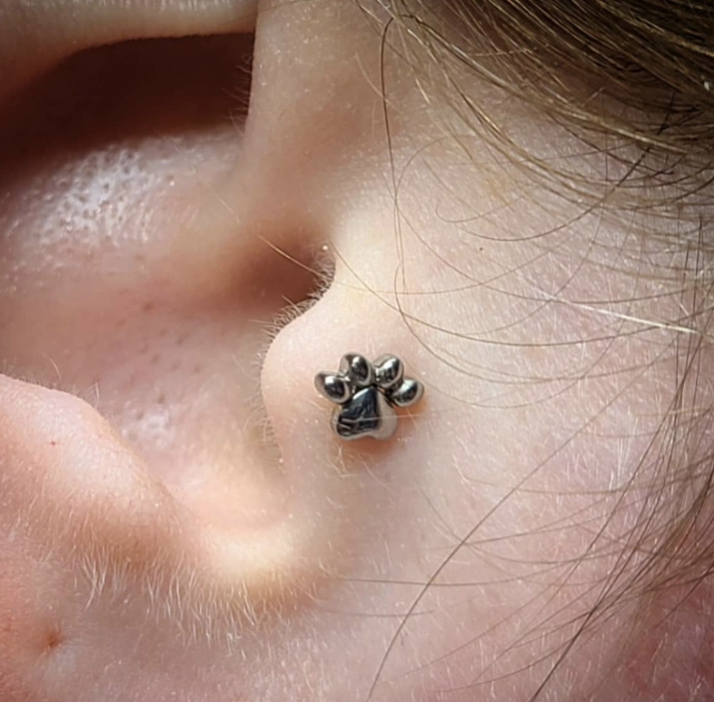 Tragus