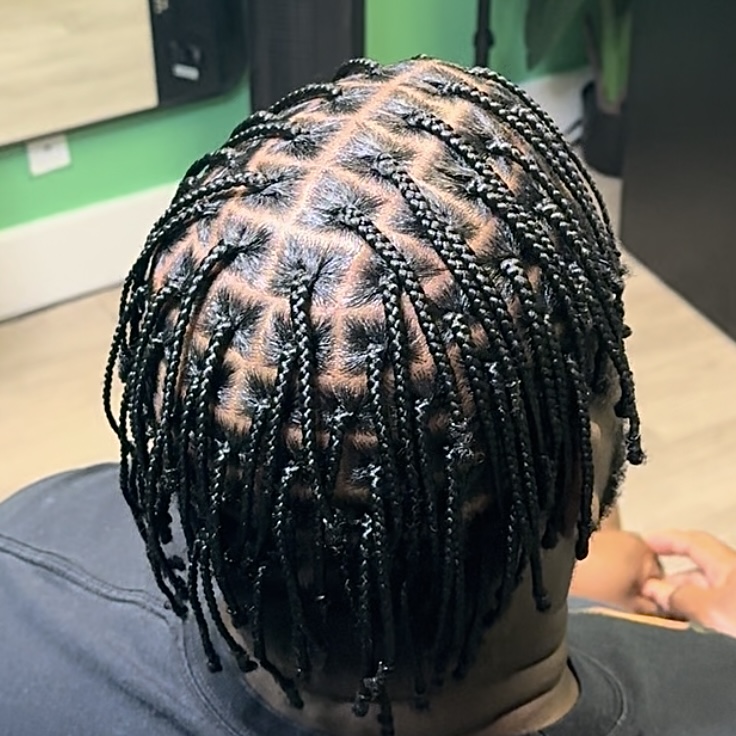 Single Plaits
