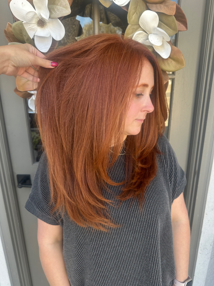 Root Touch Up