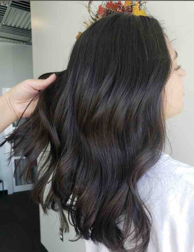 All Over Color at Lavish Vibes Studio in Westminster, CO