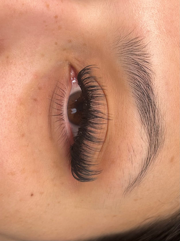 Wispy Volume Full