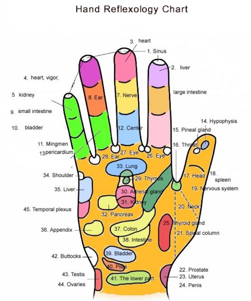 Reflexology Hands
