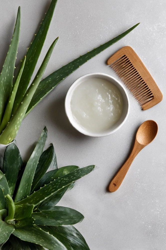 Haircut + Scalp Treatment