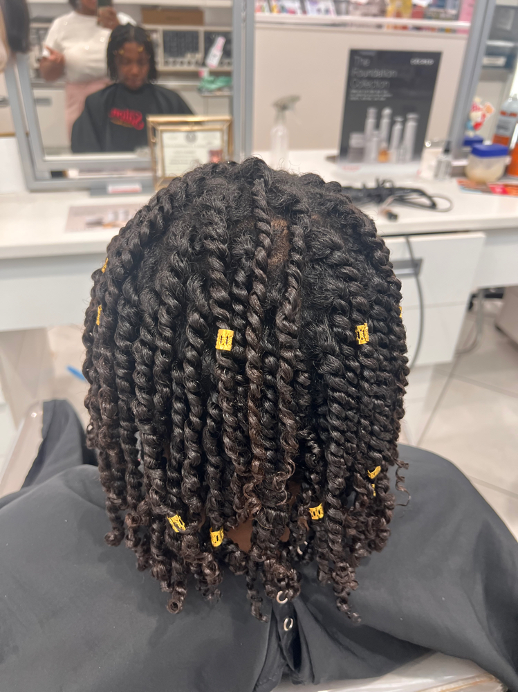 Mini Twists