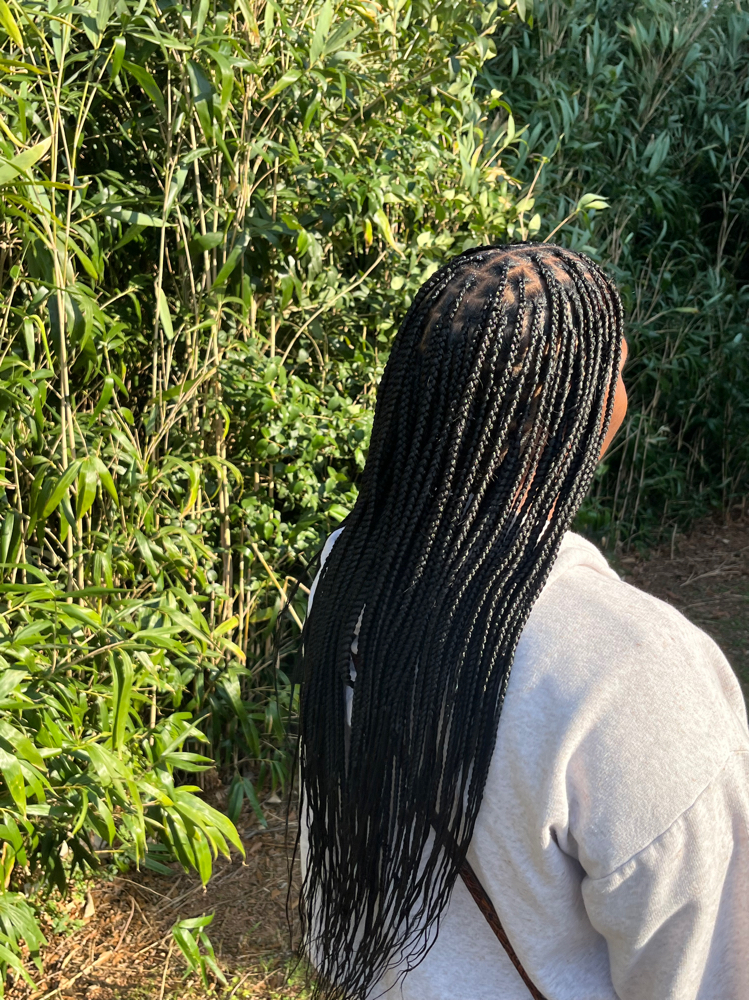 Regular Small Knotless