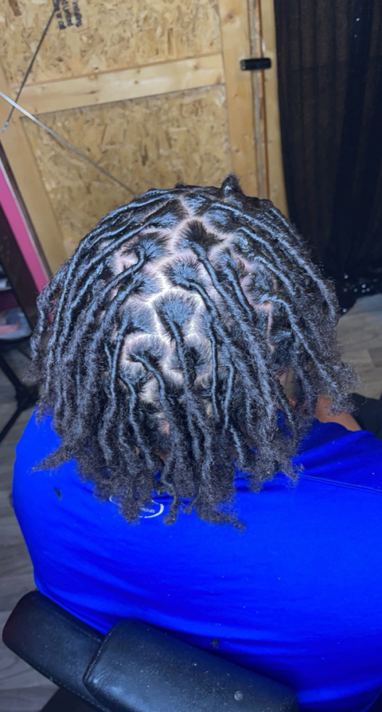 Starter Locs