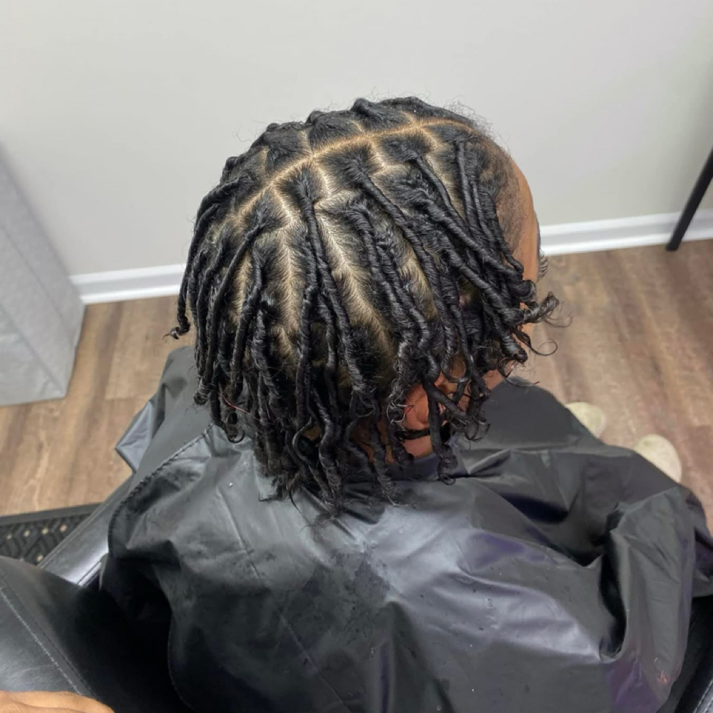 Starter Locs at Stylez.C.O in Clarksville, TN