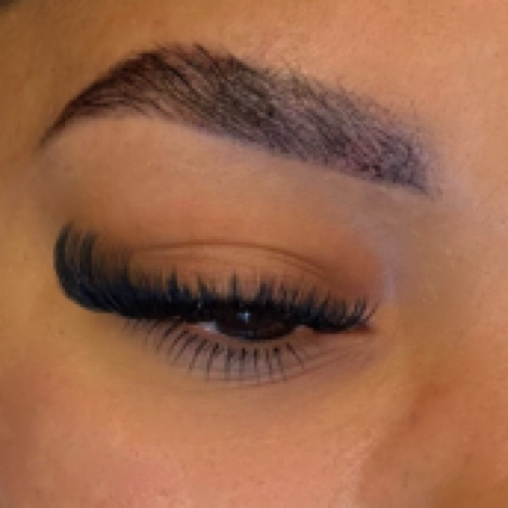 Bottom Lashes