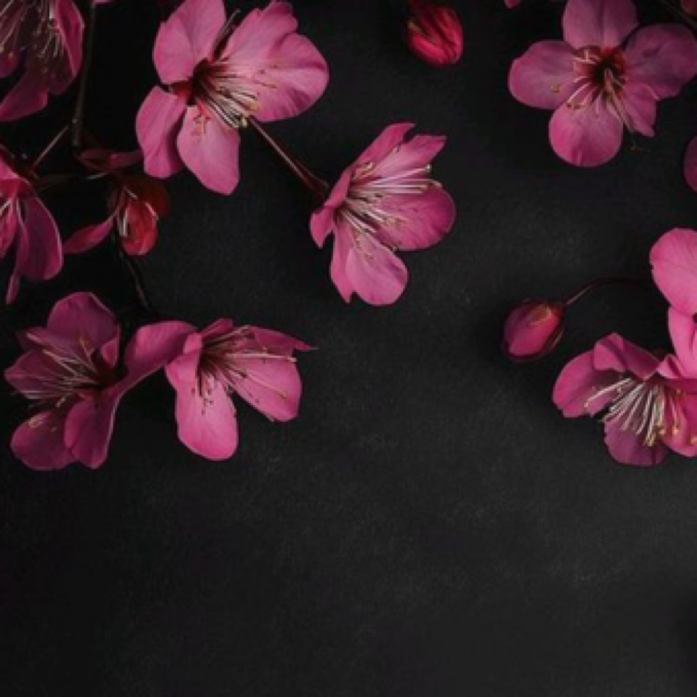 50 Min Face & Neck Massage at Trinity Wellness Co. in Riverside, CA
