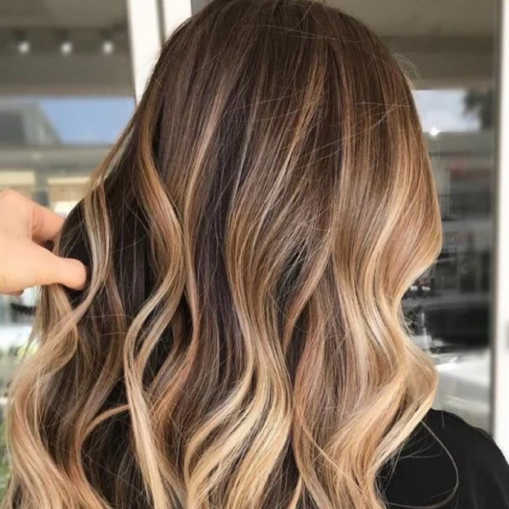 Balayage at Freeborn Hair Studio in Camden, DE