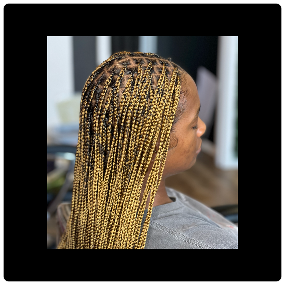 Knotless Braids(Small)