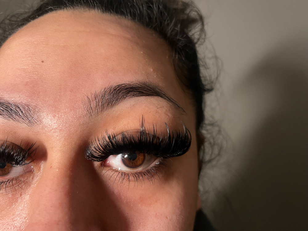 Bottom Lash