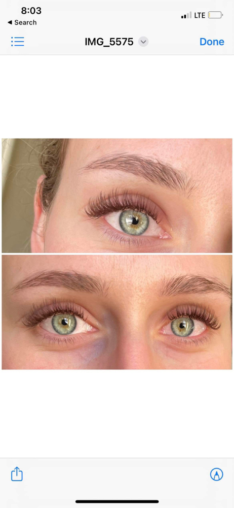 Brown Lash Set