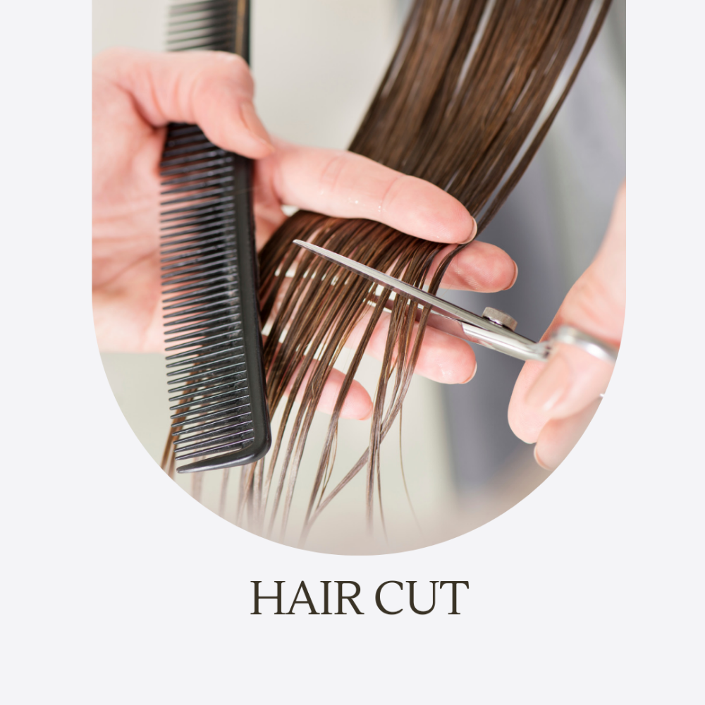 Corte