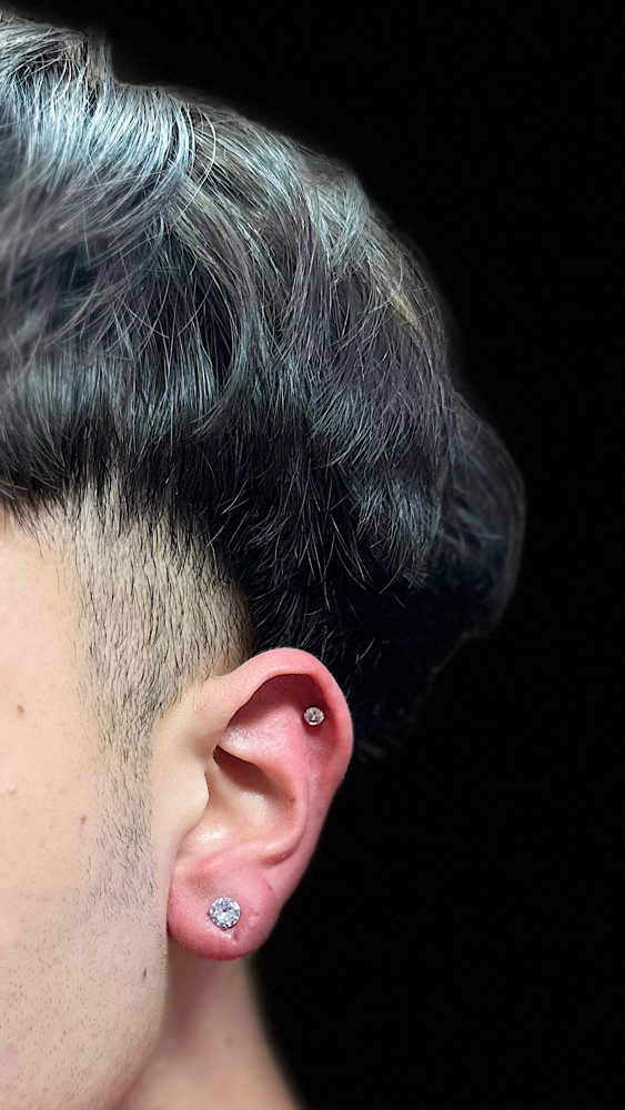 Helix/Cartilage