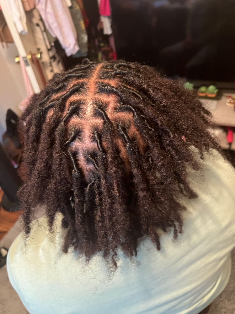 Loc Retwist