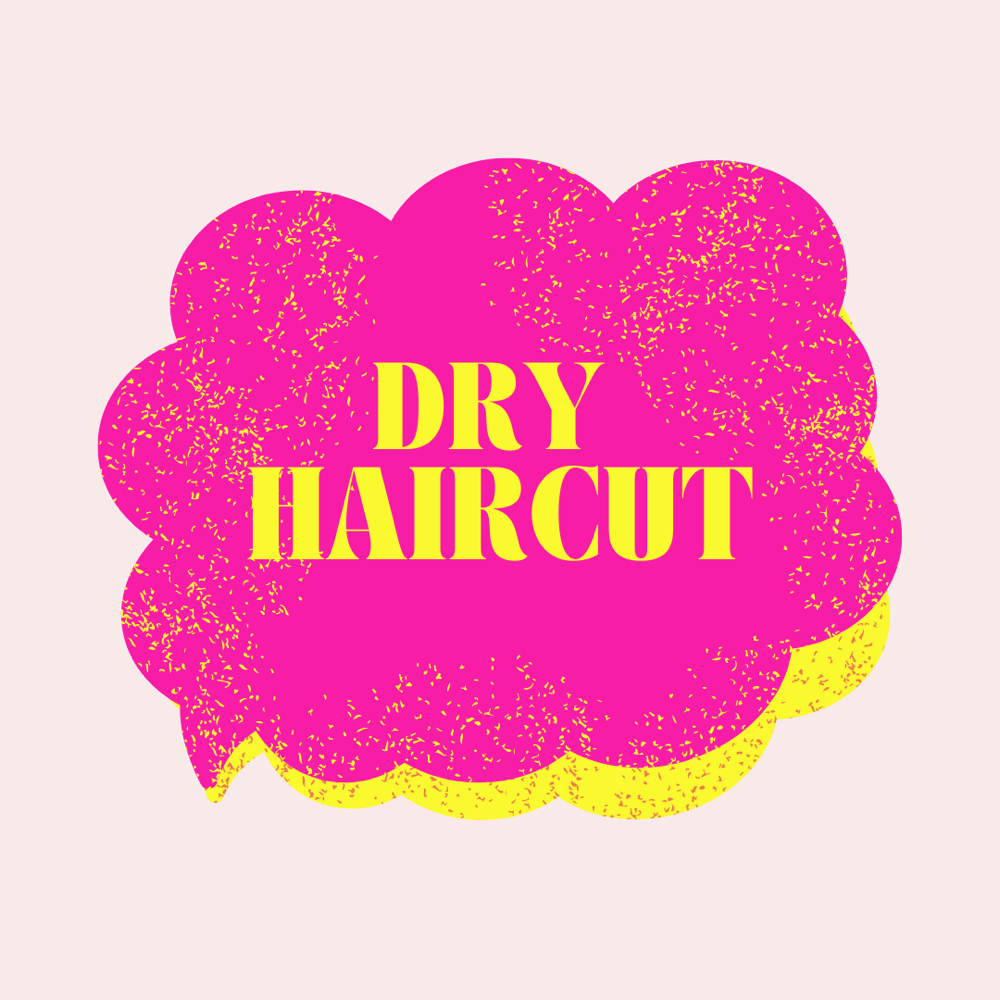 Dry Haircut at Studio Mane & Lens in Mesa Or Payson, AZ