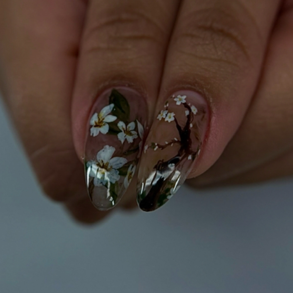 ✧ Removal Add-On ✧ at Moon Phase Nails in Germantown, MD