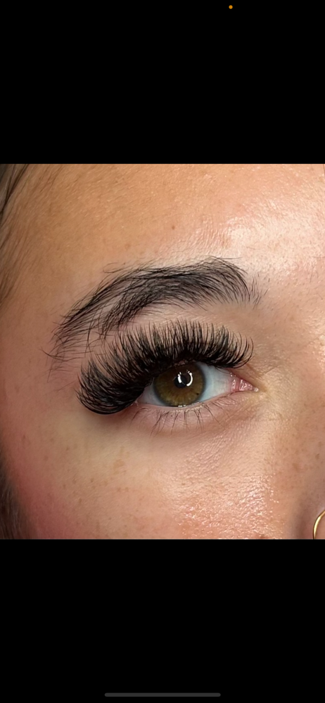Volume Lashes