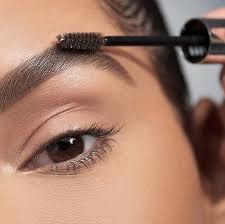 Eyebrow Wax And Tint