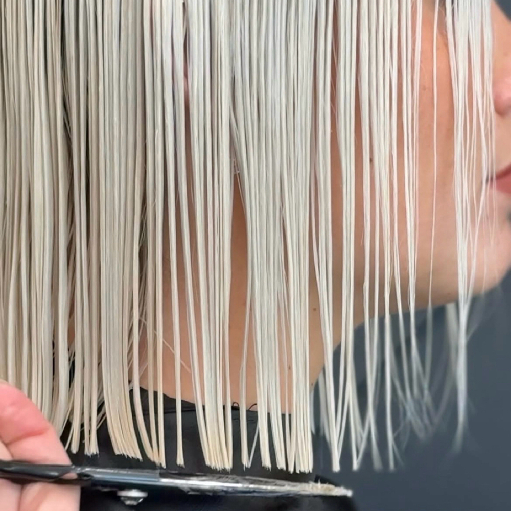 Wet Haircut at Hair By The Blonde Stylist in Brevard, NC