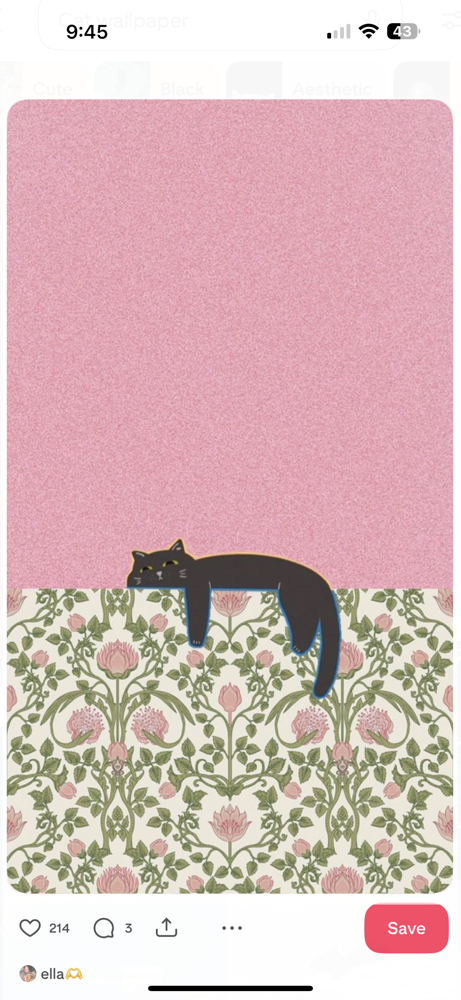 Full Color Service at Moxie + Mane Hair Co. in Johnson City, TN