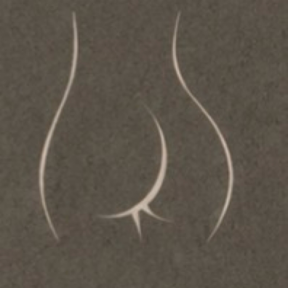 Full butt ( Female Anatomy Only) at Elara Glow Studio in El Paso, TX