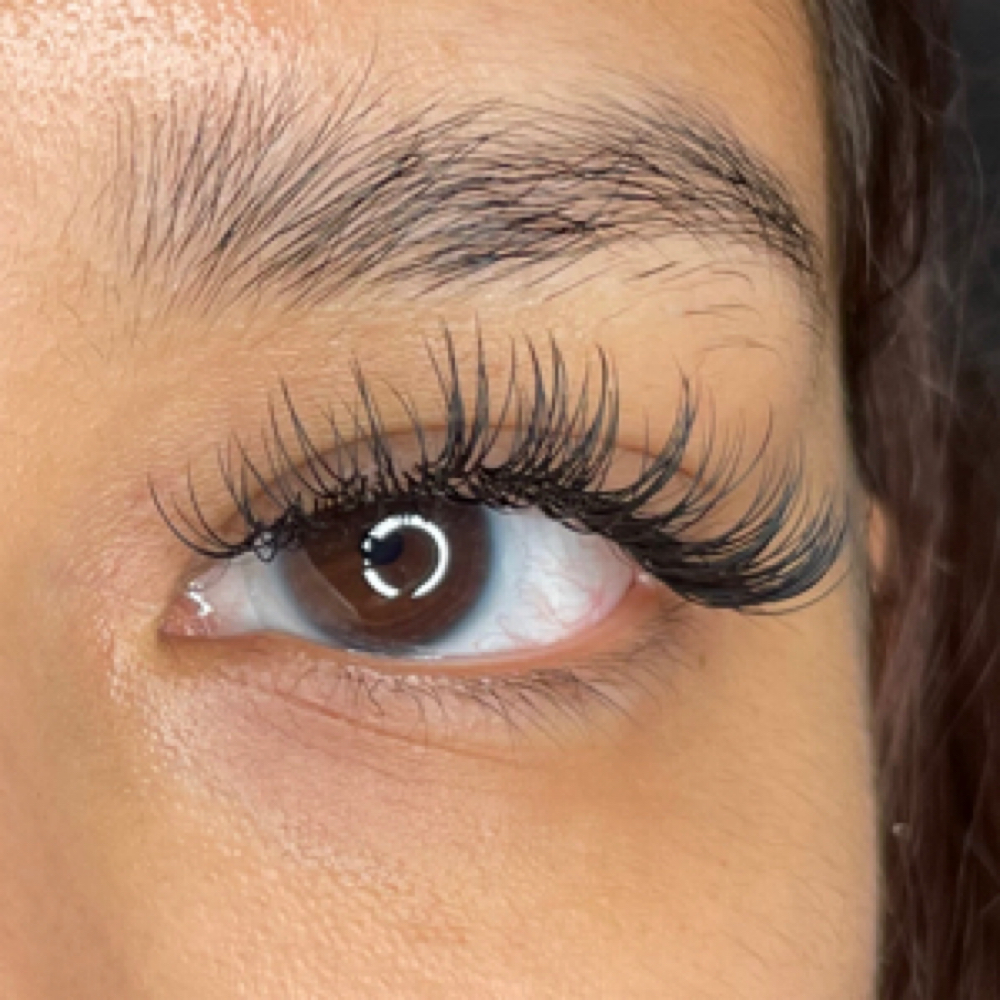 March New Client Lash Special at Brown Suga Esthetics Studios in Houston, TX