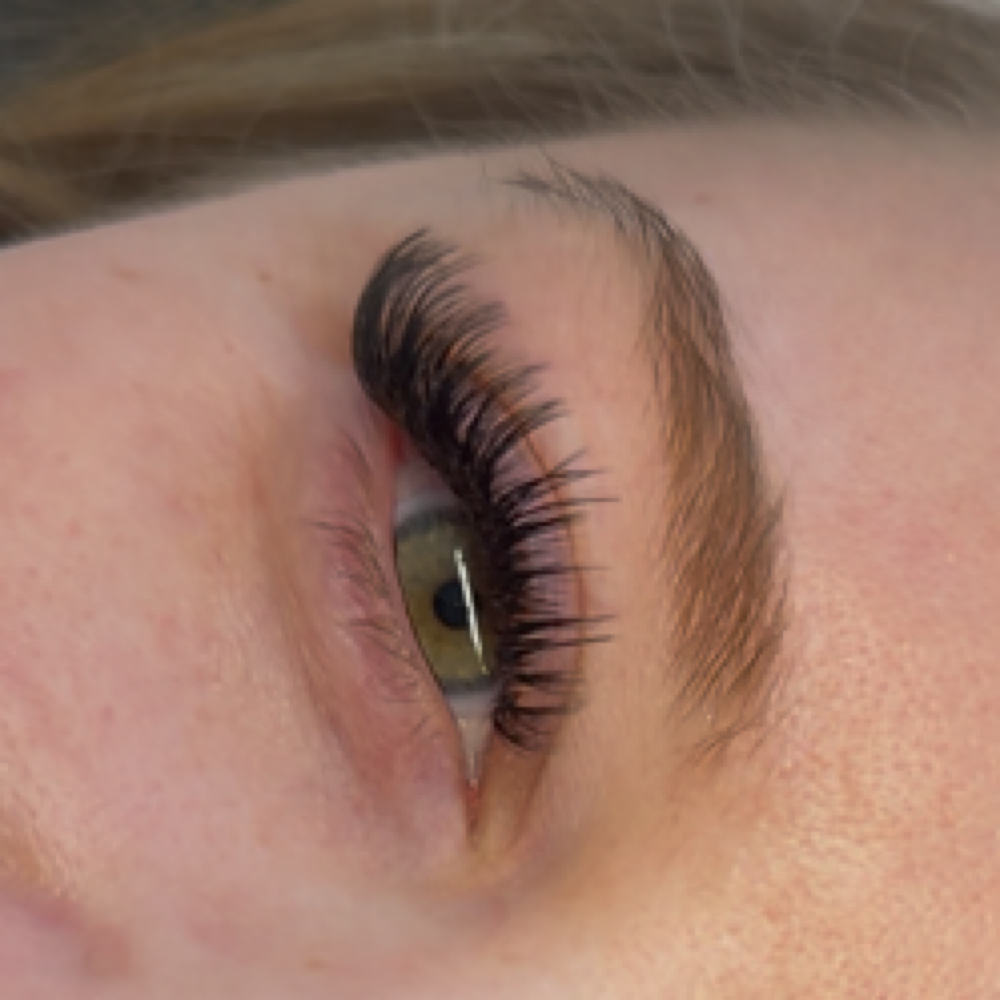 LED Lash Fill | 2 Weeks at Elevate Aesthetics in Medford, OR