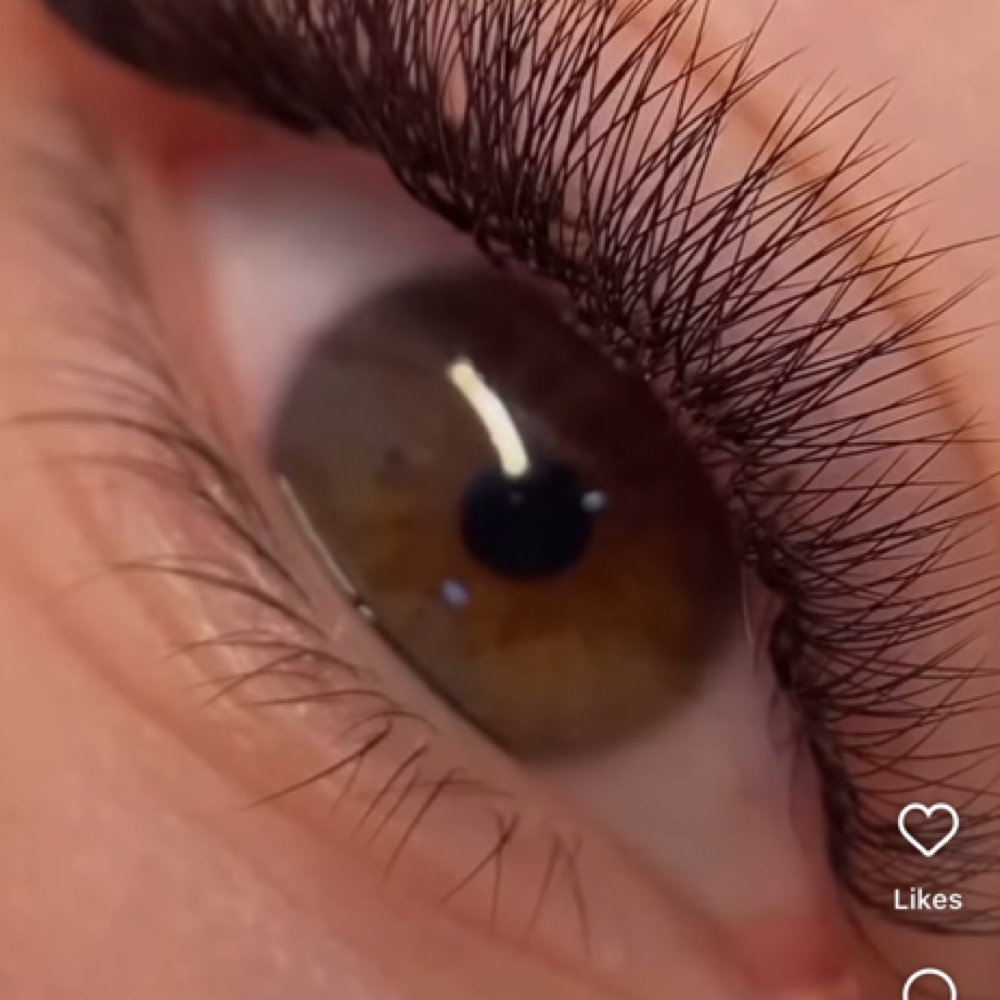 Volume Natural Refill -2 Weeks at Eden Aesthetics in Framingham, MA