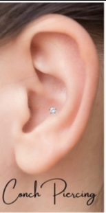 Conch