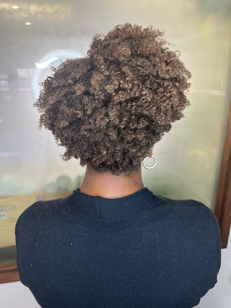 Color Retouch/ Grey Coverage