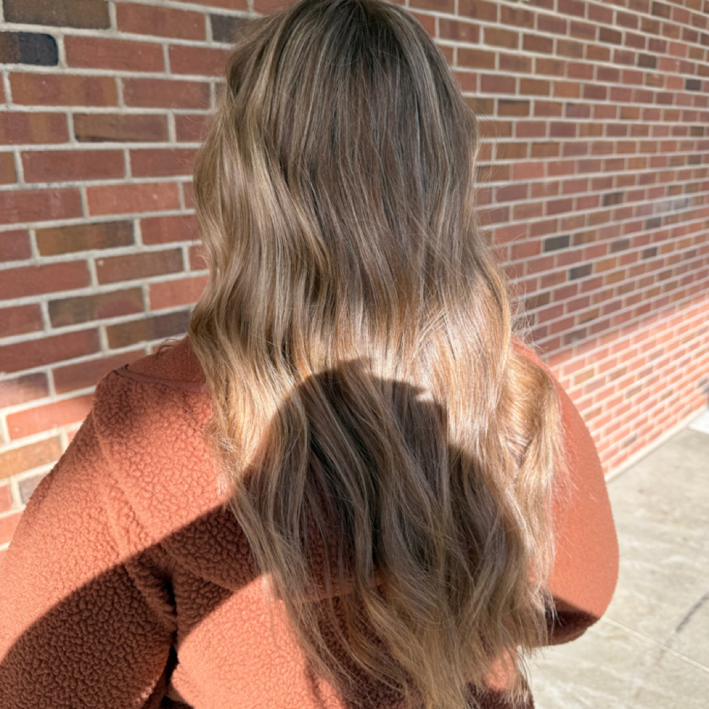 Signature Blonding at Limitless Salon & Spa in Edinburgh, IN