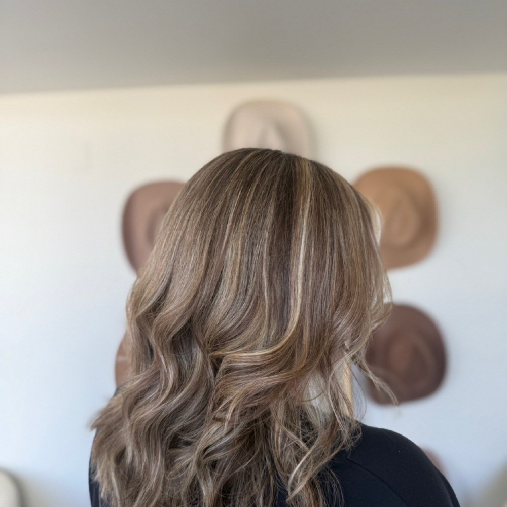 Root Touch Up + Partial Highlights at Western Rose Salon in Dublin, PA
