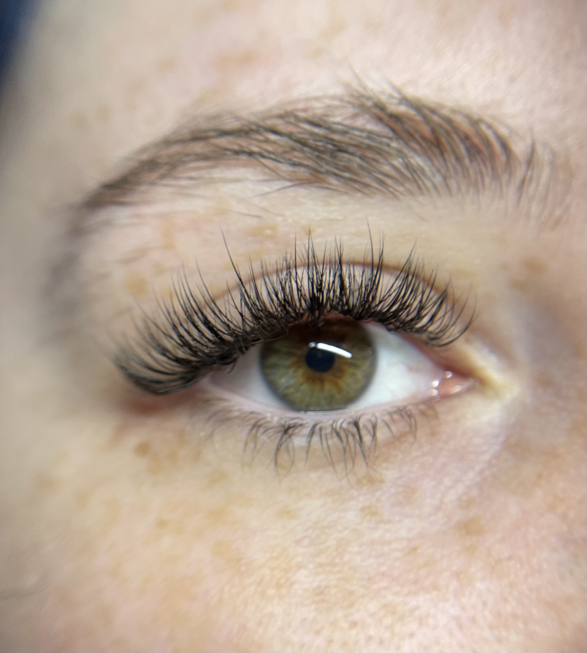 THE HYBRID at Forever Lashed in Norman, OK