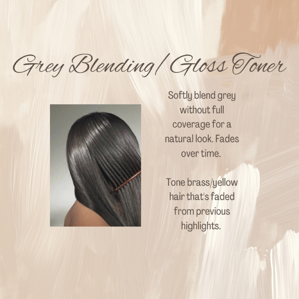 Grey Blending/Toner at Artisan Salon & Barber Studio in Lake Mary, FL