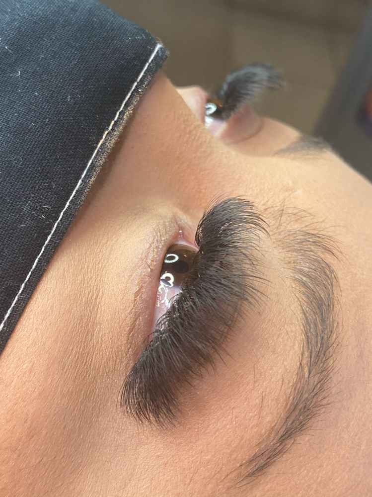 Volumen Russo Eyelash Extensions