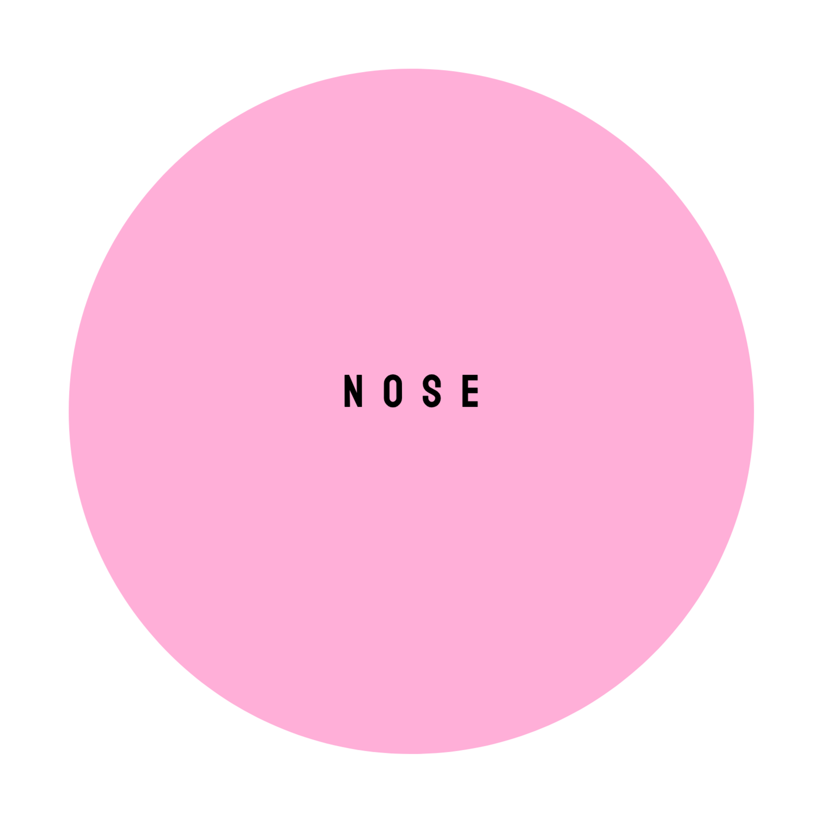 NOSE at The Dollhouse Wax Studio in Smyrna, TN