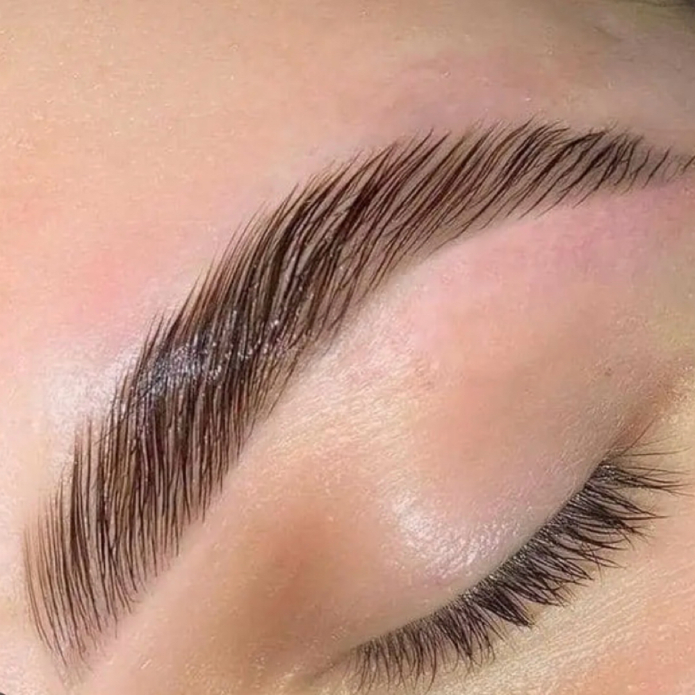 Lamination Brows & Tint at CeceBrows in Fayetteville, NC