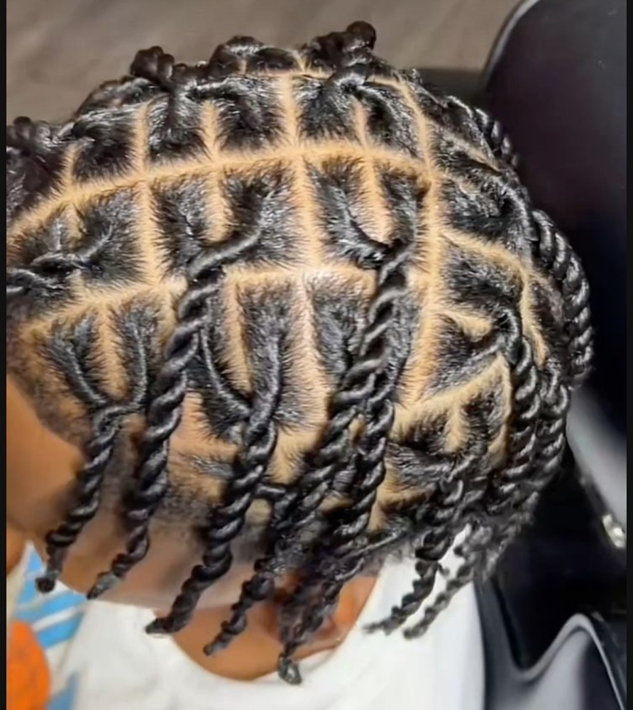 2 Strand Rope Twist - Natural Hair