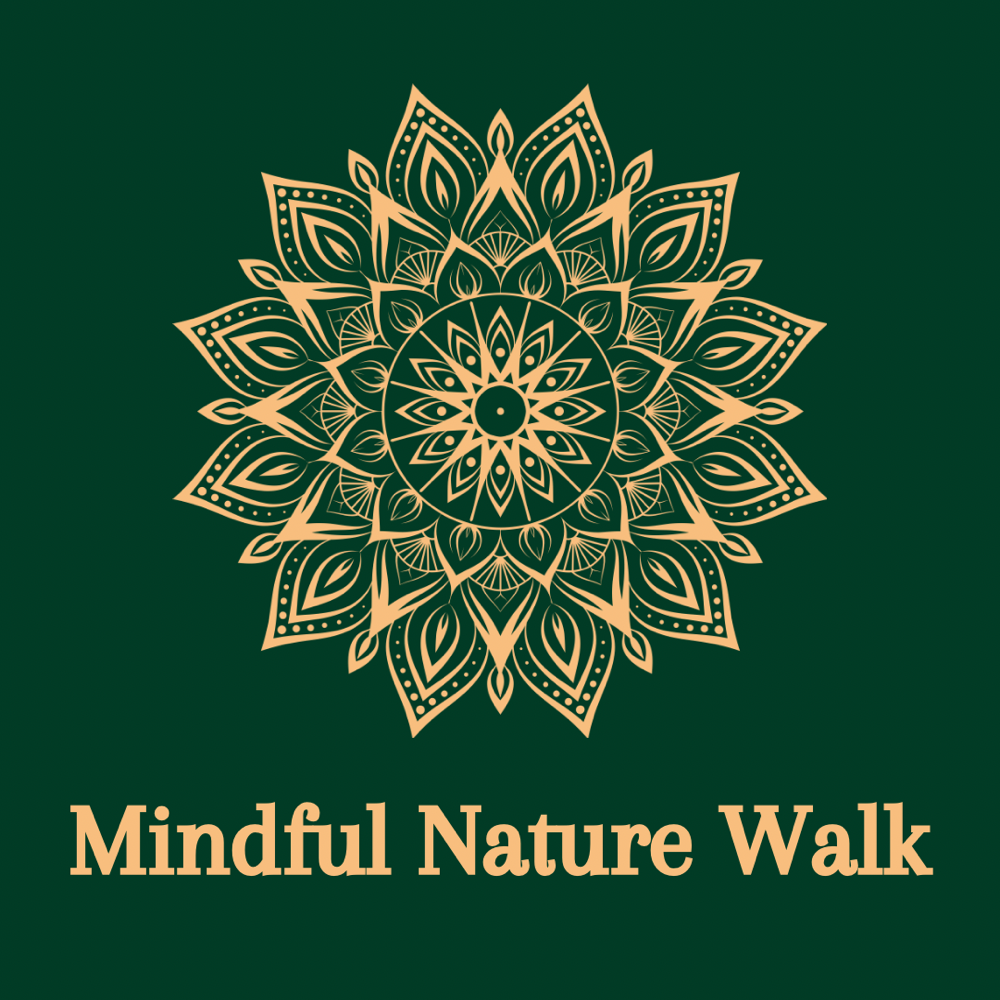 Mindful Nature Walk