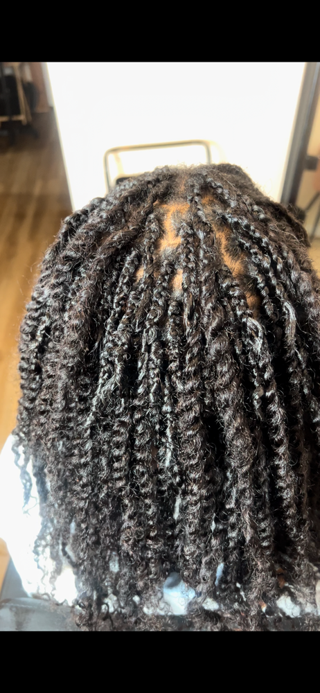 Mini Twists (shoulder length)