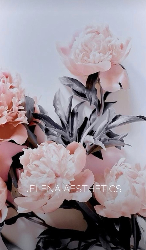 Brows and Lips Blushing Package