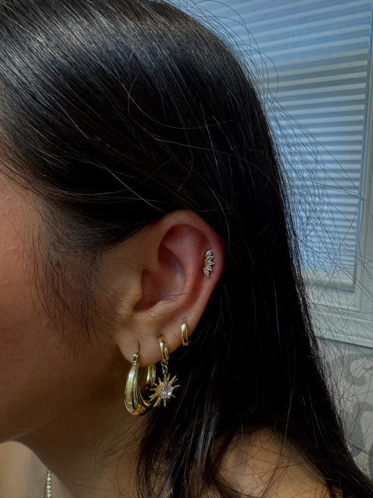 piercing guest form