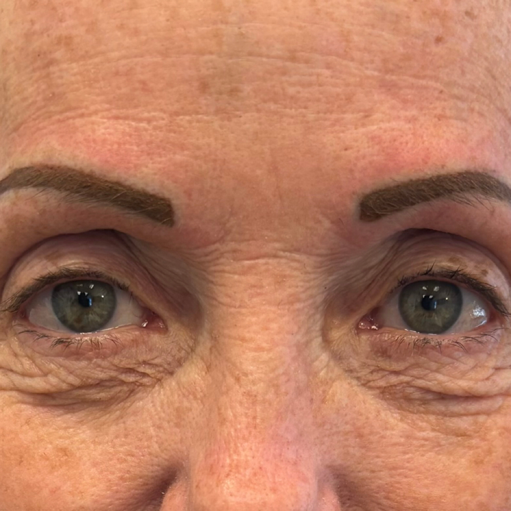 PMU Eyebrows/Post Free Touchup at Accentuated Beauty Spa in Salisbury, NC